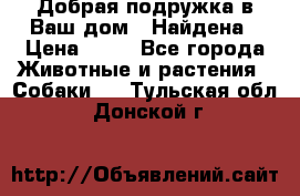 Добрая подружка,в Ваш дом!!!Найдена › Цена ­ 10 - Все города Животные и растения » Собаки   . Тульская обл.,Донской г.